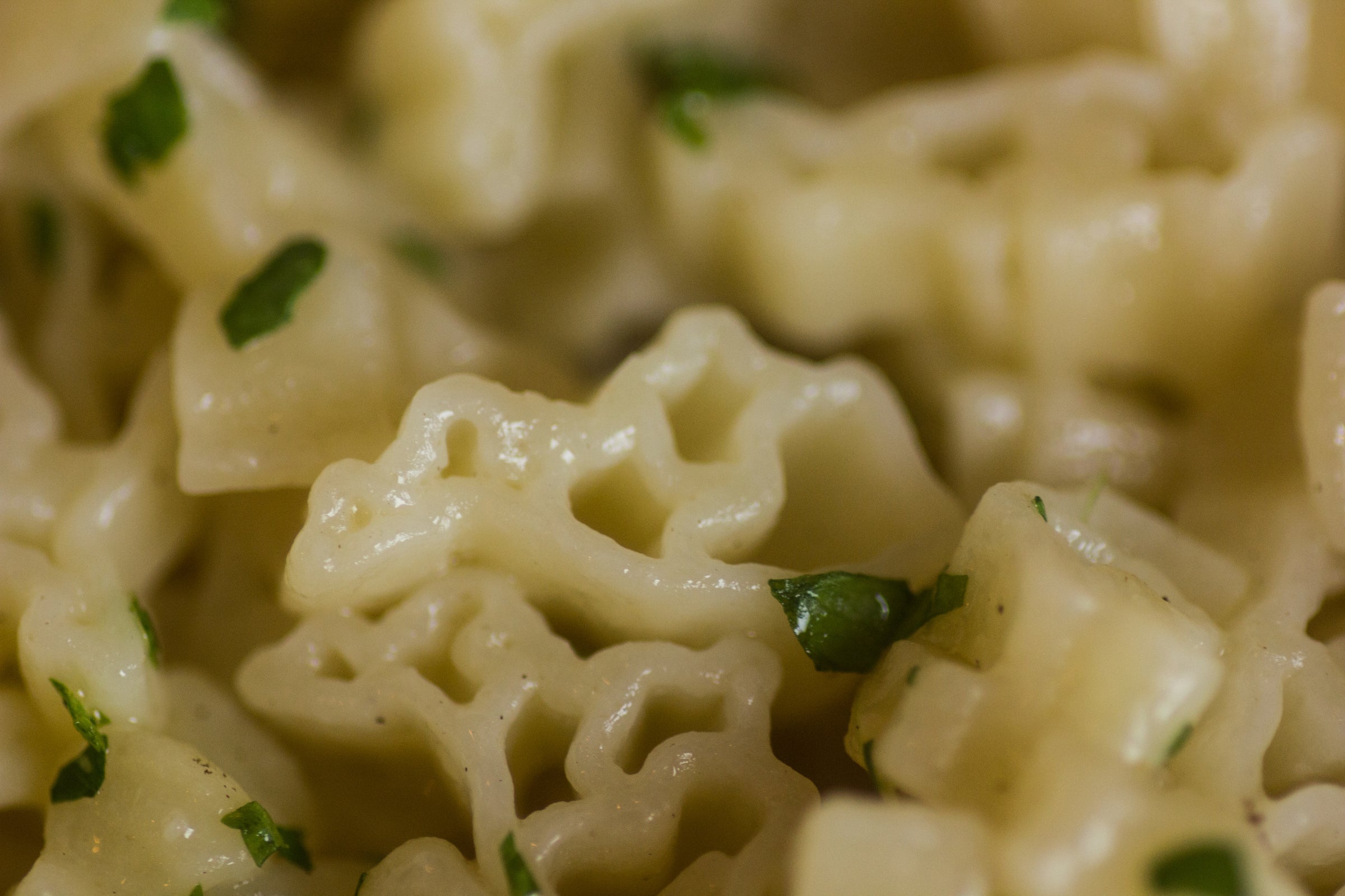 KENTUCKY SHAPED PASTA | Pasta Garage Italian Cafe